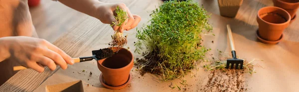 Cropped view of child planting microgreen with gardening tools at home, banner — Stock Photo