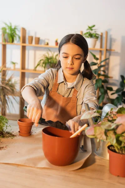 Kid in apron pouring ground in flowerpot near plant and watering can at home — Stock Photo