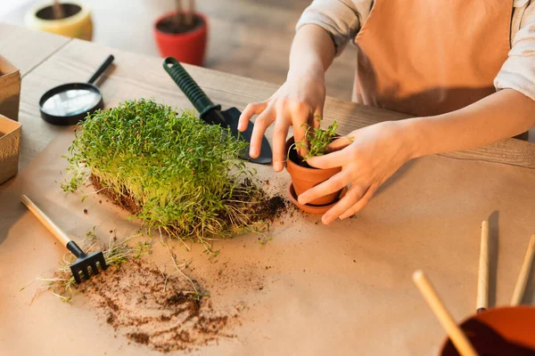 Vista cortada da criança plantando microgreen perto de ferramentas de jardinagem em casa — Fotografia de Stock