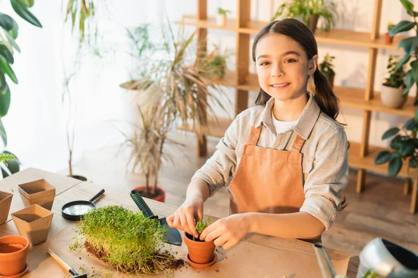 Feliz niña preadolescente plantando microgreen y mirando a la cámara en casa - foto de stock