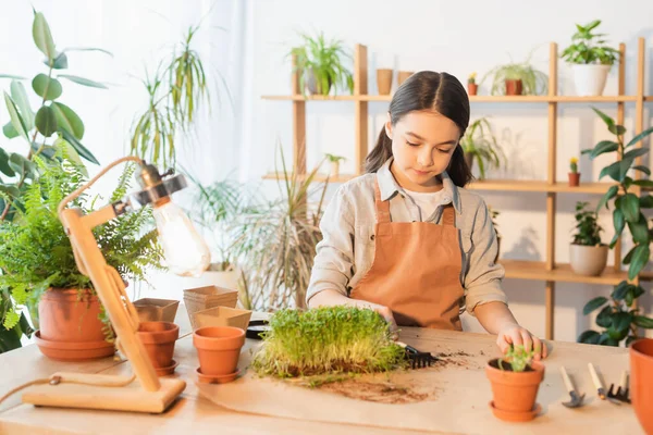 Preteen fille tenant râteau près de plantes et pots de fleurs sur la table à la maison — Photo de stock