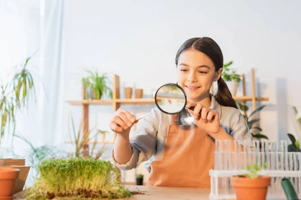 Ragazza sorridente che tiene pianta in pinzette e lente d'ingrandimento a casa — Foto stock