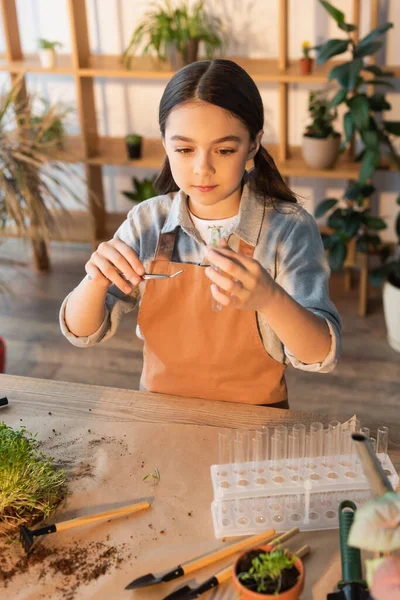 Mädchen in Schürze hält Pinzette und Reagenzglas in der Nähe von Pflanzen zu Hause — Stockfoto