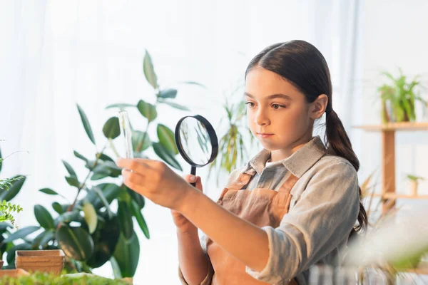 Girl holding magnifying glass and test tube near plants at home — Stock Photo