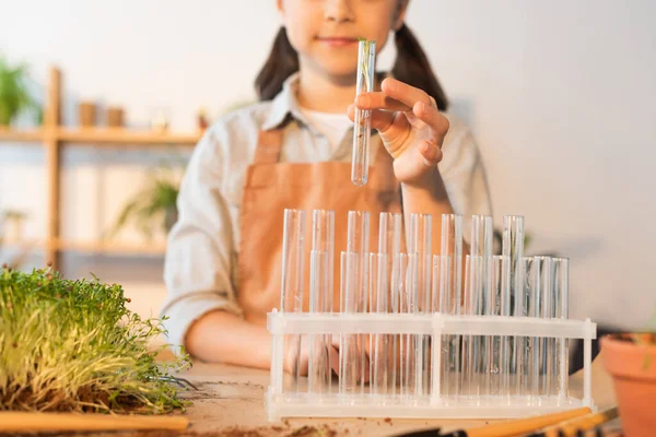 Cropped view of child holding test tube with plant at home — Stock Photo