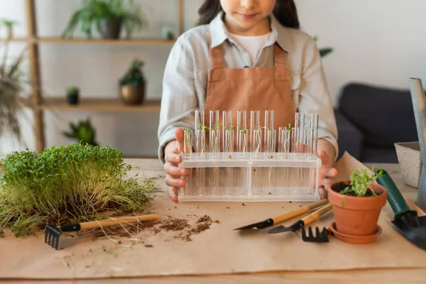 Cropped view of kid holding glass test tubes with plants near gardening tools at home — Stock Photo