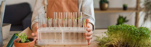 Cropped view of kid holding glass test tubes with plants at home, banner — Stock Photo