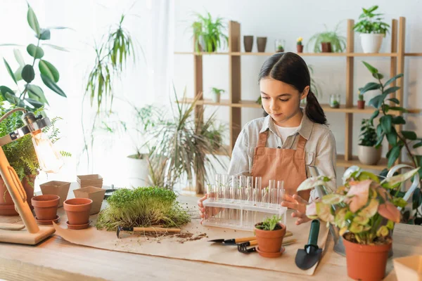 Preteen Kind in Schürze hält Reagenzgläser in der Nähe von Pflanzen und Blumentöpfen zu Hause — Stockfoto