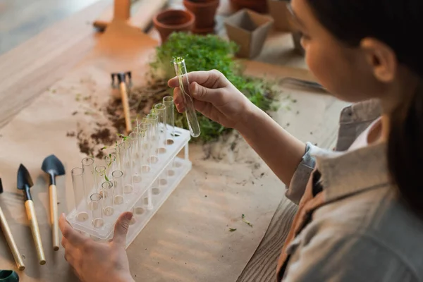 Verschwommenes Kind hält Reagenzglas mit Pflanze in der Nähe verschwommener Gartengeräte zu Hause — Stockfoto