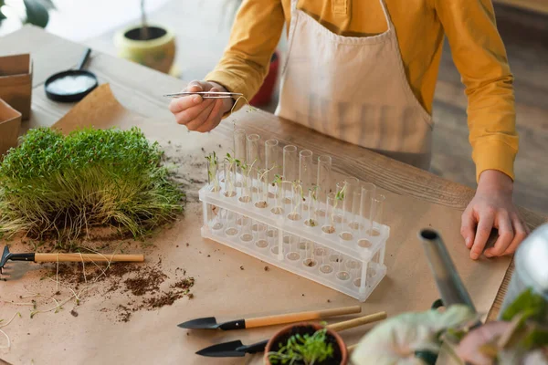 Ausgeschnittene Ansicht von Jungen, die Pflanze in Pinzetten in der Nähe von Reagenzgläsern und Gartengeräten zu Hause halten — Stockfoto