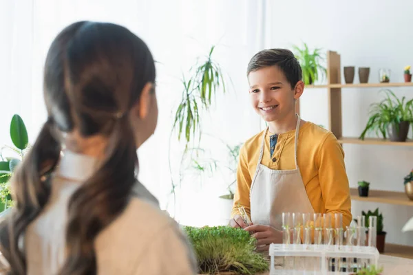 Smiling boy in apron holding test tube near microgreen and blurred friend at home — Stock Photo