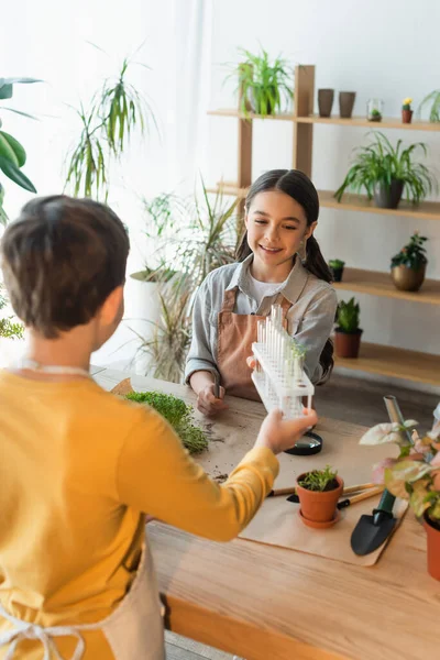 Smiling girl in apron looking at blurred friend with test tubes near plants at home — Stock Photo