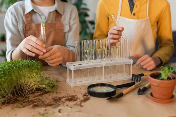 Vista ritagliata di bambini in grembiuli che tengono provette con piante vicino lente d'ingrandimento a casa — Foto stock