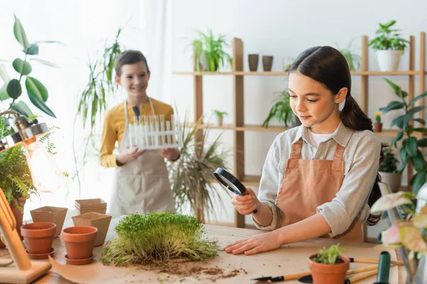 Chica sonriente sosteniendo lupa cerca de microgreen y amigo borroso con tubos de ensayo en casa - foto de stock