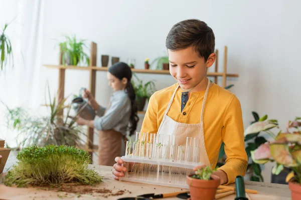 Ragazzo sorridente che tiene le provette con le piante vicino agli attrezzi da giardinaggio sul tavolo a casa — Foto stock