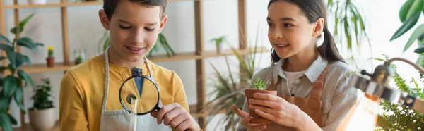 Sorrindo menina segurando planta perto de amigo com lupa e tubo de teste em casa, banner — Fotografia de Stock