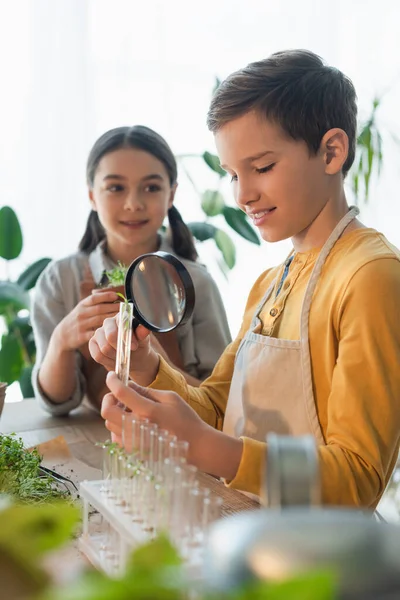 Fröhlicher Junge hält Lupe und Reagenzglas neben verschwommenem Freund und Pflanzen zu Hause — Stockfoto