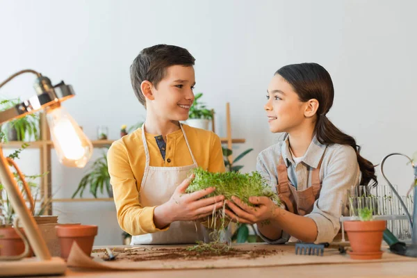 Smiling kids in aprons holding microgreen near glass test tubes and gardening tools at home — Stock Photo