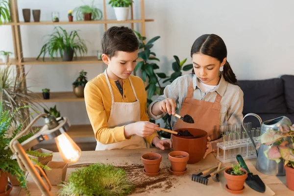 Bambini in grembiuli versando terreno in vaso vicino a piante sul tavolo a casa — Foto stock