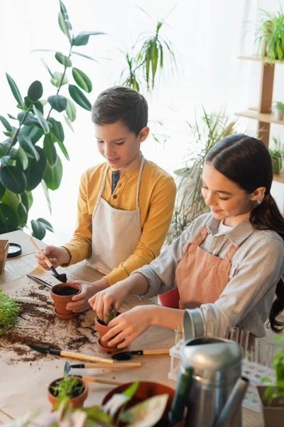 Bambini sorridenti piantare microverde vicino a provette offuscate e annaffiatoio può a casa — Foto stock