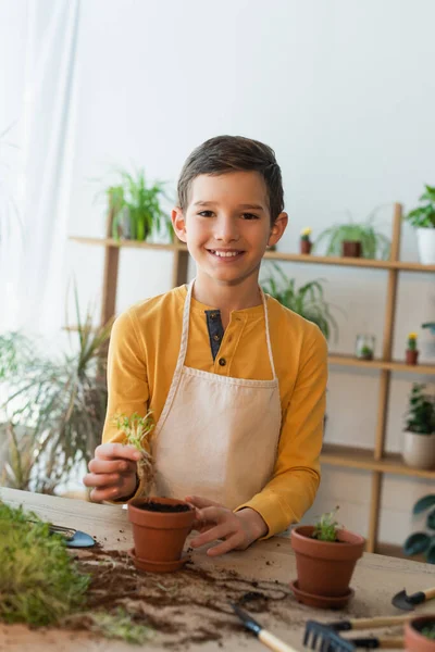 Garçon souriant dans un tablier plantant microgreen près de pots de fleurs flous à la maison — Photo de stock