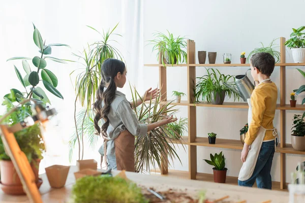 Vorschulkinder in Schürzen gießen Pflanzen zu Hause — Stockfoto