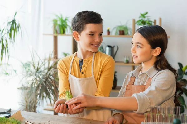 Smiling kids in aprons planting microgreen near test tubes at home — Stock Photo