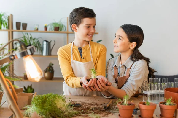 Smiling kids holding microgreen in soil near flowerpots at home — Stock Photo