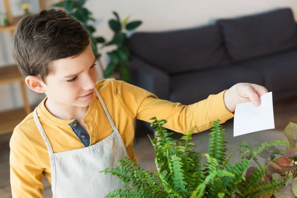 Niño en delantal sosteniendo nota pegajosa cerca de la planta en casa - foto de stock