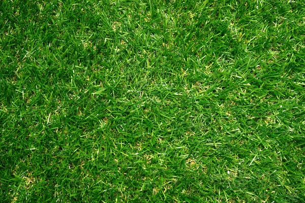 Artificial Grass Field Top View Texture — Stock Photo, Image