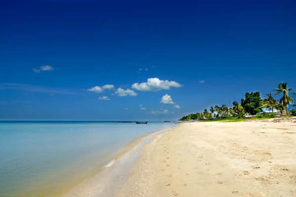 Pláž s modrou oblohou. — Stock fotografie