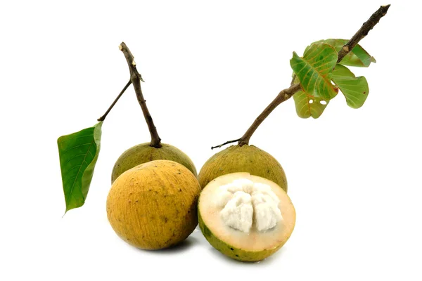 Sandoricum koetjape or Santol in basket isolated on white backgr — Stock Photo, Image