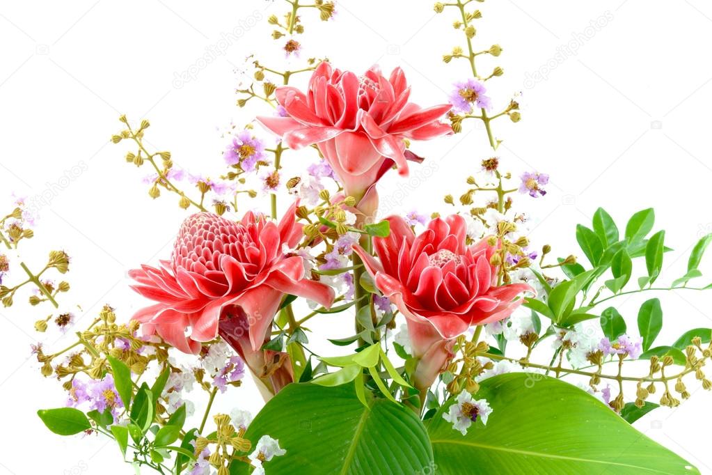 Flower arrangements with pink torch ginger flowers (Etlingera el