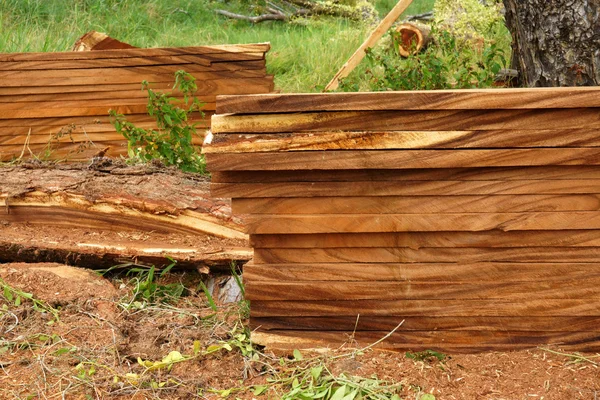 Madera para la industria del mueble . — Foto de Stock