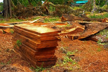 ahşap mobilya sanayi için.