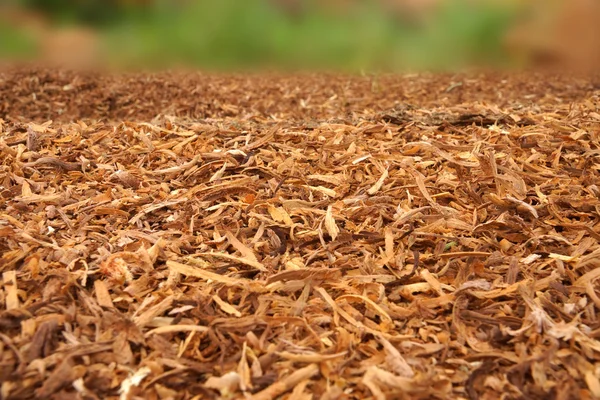 Holzsägemehl Hintergrund. — Stockfoto