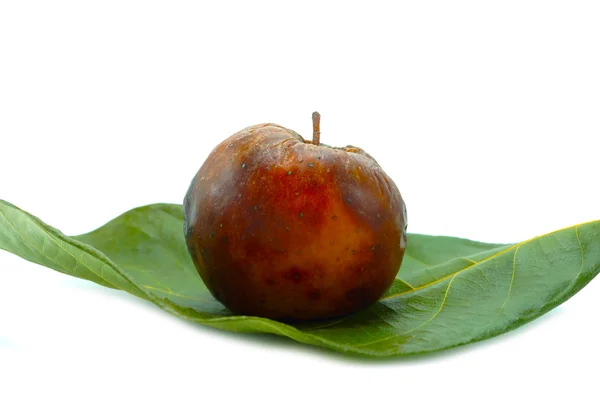 Rotten apple. Isolated on white. — Stock Photo, Image