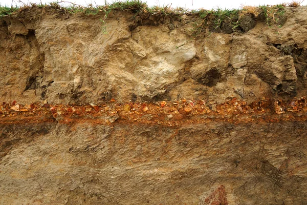 Corte de solo com diferentes camadas no lago de água doce., Thail — Fotografia de Stock