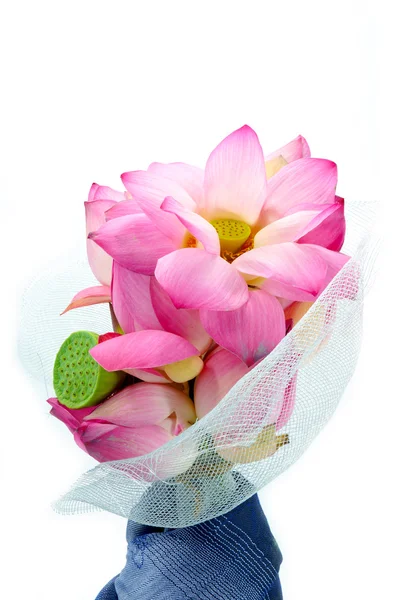 A lotus Flower megállapodásokat elkülöníteni fehér háttér. — Stock Fotó