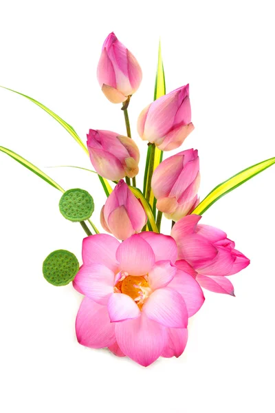 Arrangement de fleurs avec lotus sur fond blanc isolé . — Photo