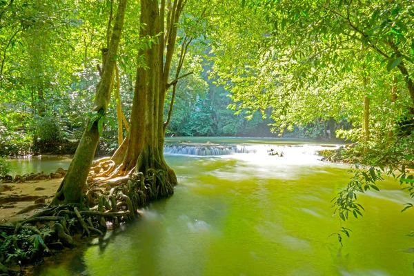 Groen water in het woud in dan bok khorani nationaal park, tha — Stockfoto