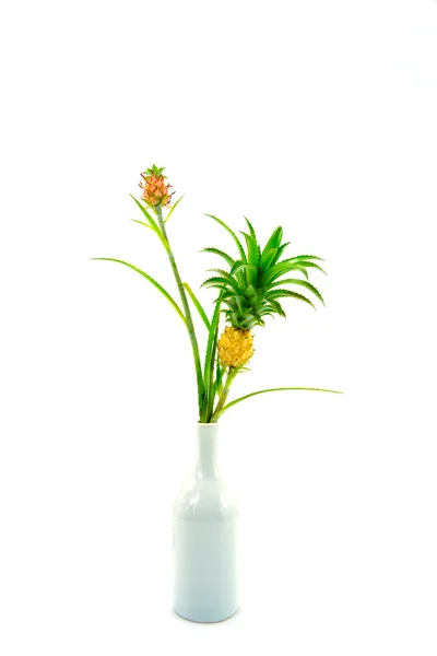Pineapple plants in a vase isolated on white background. — Stock Photo, Image