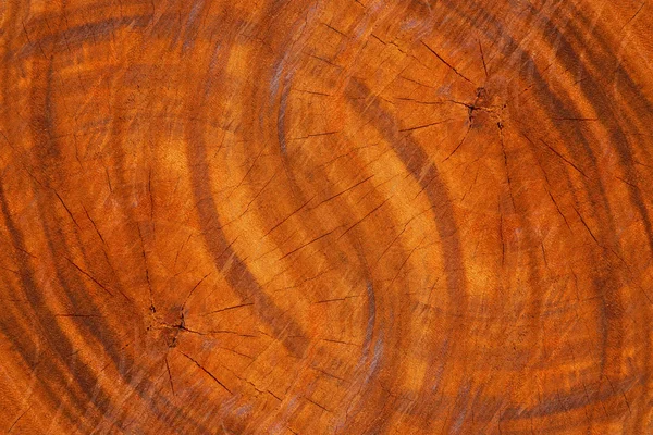 Patterns on the surface of the wood industry. — Stock Photo, Image