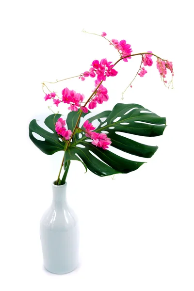 Pink flowers and green leaves in a vase. — Stock Photo, Image