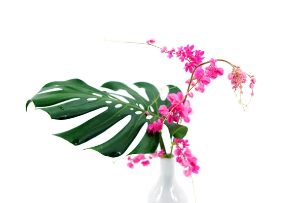 Pink flowers and green leaves in a vase. — Stock Photo, Image
