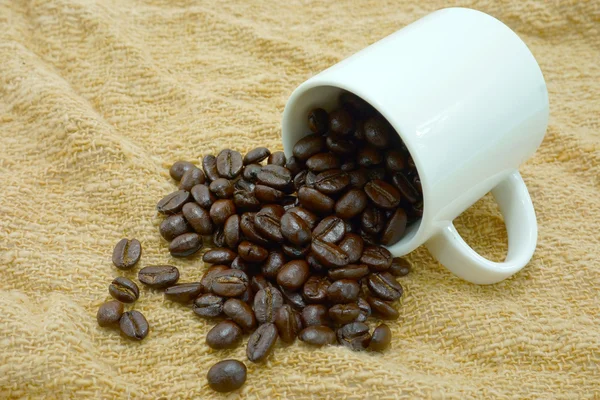 阿拉比卡咖啡豆. — 图库照片