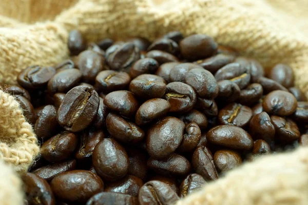 Grains de café Arabica . — Photo