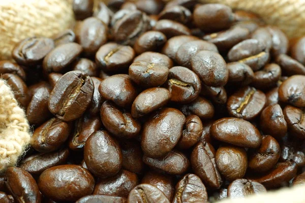 Arabica κόκκους καφέ. — Φωτογραφία Αρχείου