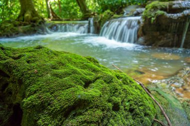Ulusal Park, Tayland 'daki küçük şelale ve kayalar.