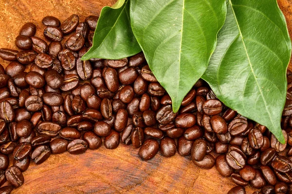 Coffee beans on the wooden background. — Stock Photo, Image